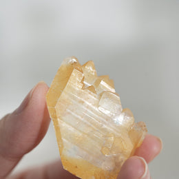 黃金療癒者縫合水晶
