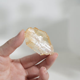 黃金療癒者縫合水晶