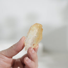 黃金療癒者縫合水晶