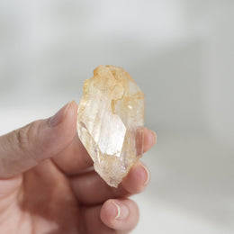 黃金療癒者縫合水晶