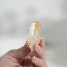 黃金療癒者縫合水晶