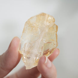 黃金療癒者縫合水晶