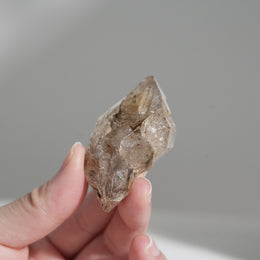 黃泥骸骨水晶