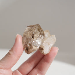 黃泥骸骨水晶