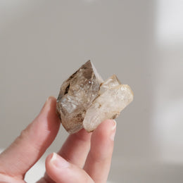 黃泥骸骨水晶