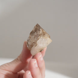 黃泥骸骨水晶