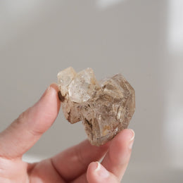 黃泥骸骨水晶
