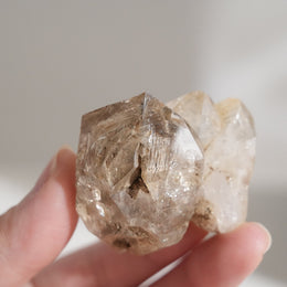 黃泥骸骨水晶
