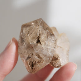 黃泥骸骨水晶