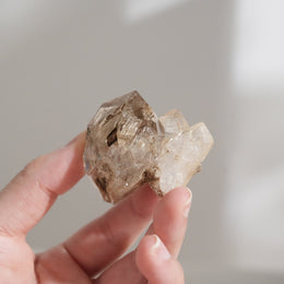 黃泥骸骨水晶