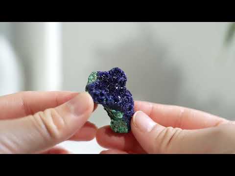 藍銅礦原石– GFE Handpicked Crystals